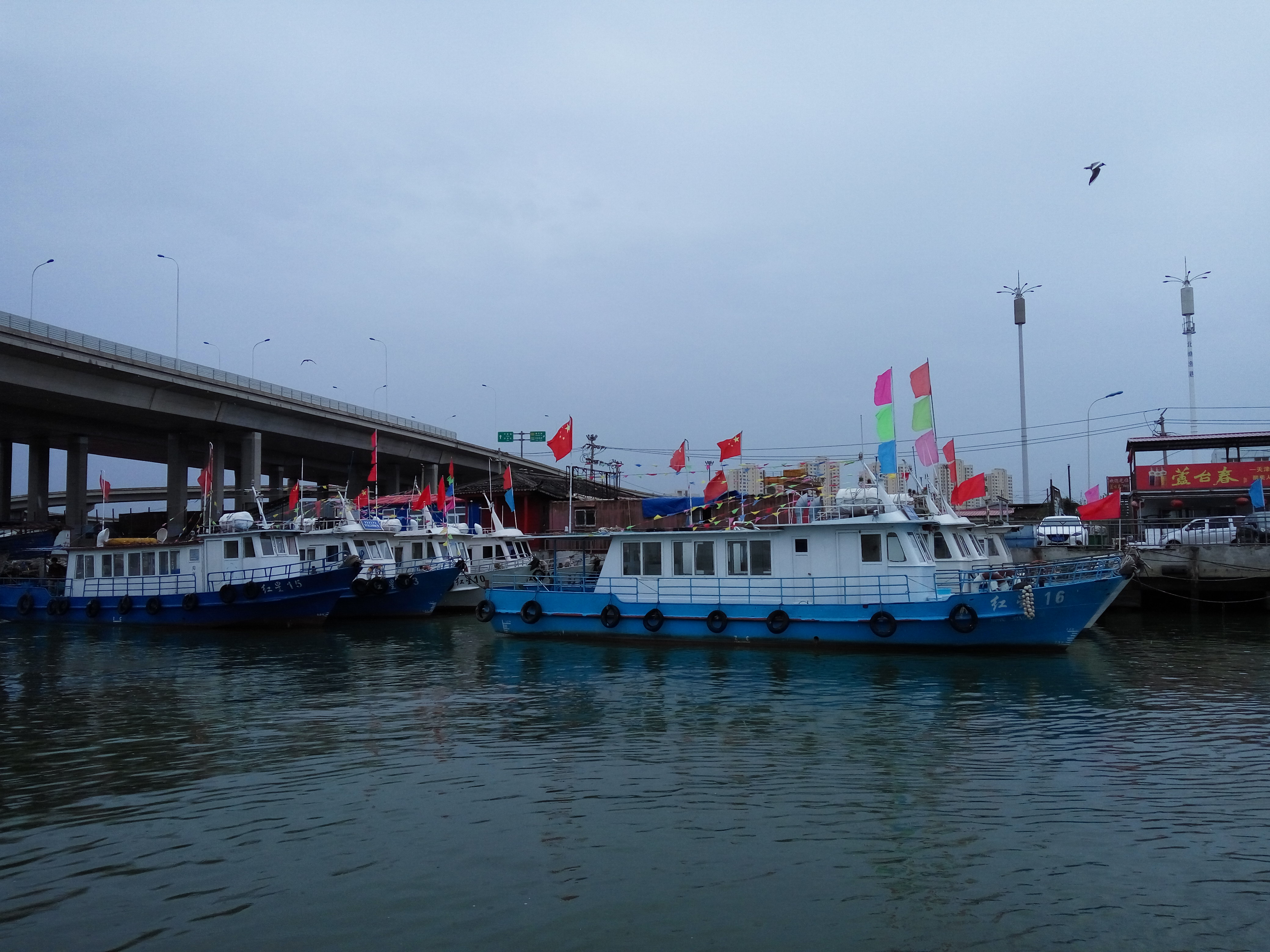 天津北塘码头出海打鱼渔船